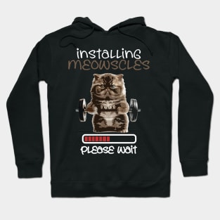 Installing-Meowscles Hoodie